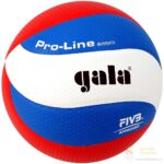 1.7.13.2 Мяч волейбольный GALA Pro-Line 10 FIVB