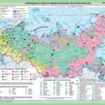 Карта Природные зоны и биологические ресурсы России