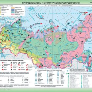 Карта Природные зоны и биологические ресурсы России